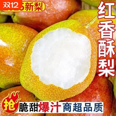 新鲜现摘酥脆多汁丨山西玉露香梨
