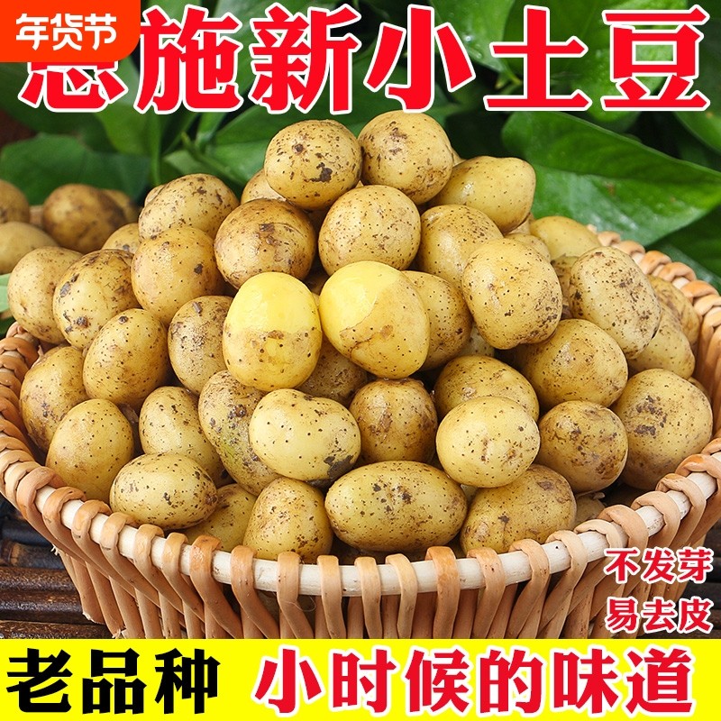 恩施小土豆新鲜整箱包邮高山现挖黄心洋芋时令蔬菜当季迷你马铃薯,水产肉类/新鲜蔬果/熟食,土豆,淘宝优惠券,粉丝福利购,淘宝优惠卷