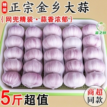 【商超同款】2025山东金乡紫皮大蒜头干蒜蔬菜批发净重精品网兜s
