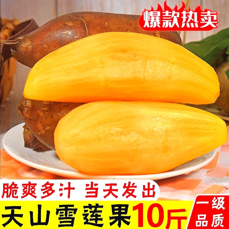 黄心雪莲果新鲜9斤甜甜脆脆好吃