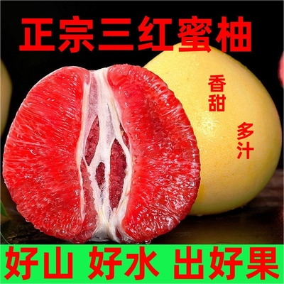 福建漳州平和红心柚子三红肉蜜柚薄皮大果新鲜应当季水果整箱批发