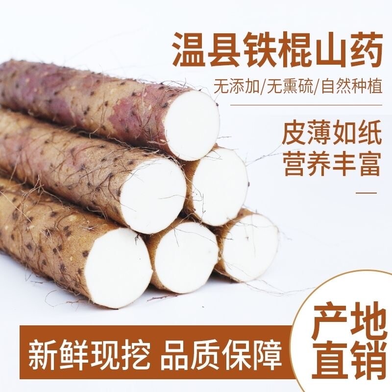 正宗新鲜山药河南焦作垆土铁棍山药整箱5斤批发怀山药非淮山药