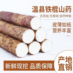 正宗新鲜山药河南焦作垆土铁棍山药整箱5斤批发怀山药非淮山药