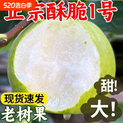 新鲜水果砀山青梨皇冠梨当季