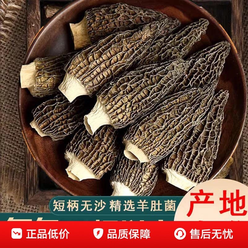 新鲜羊肚菌干货古田菌子非野生煲汤食材牛肚菌年货节炖汤美味火锅