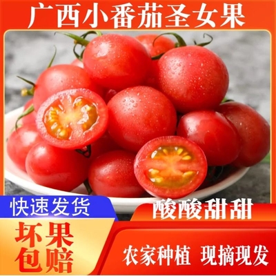 正宗新鲜圣女果小番茄新鲜现摘