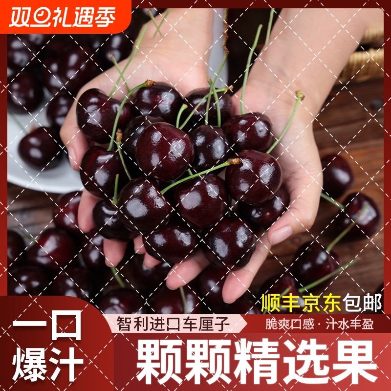 【海运5斤礼盒装】智利进口车厘子新鲜当季水果顺丰京东包邮多汁T