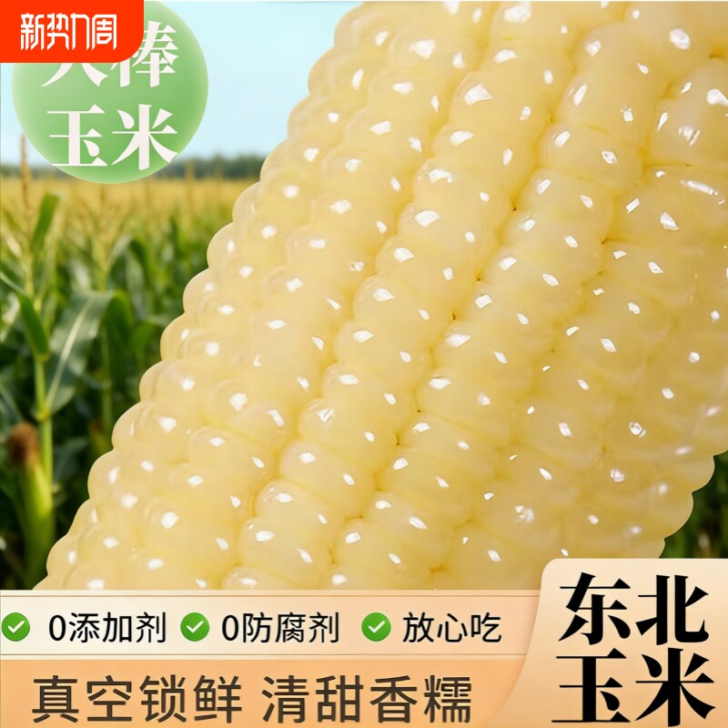 东北白糯玉米早餐真空包装香甜白糯玉米粗粮美味粘糯鲜香当季新鲜
