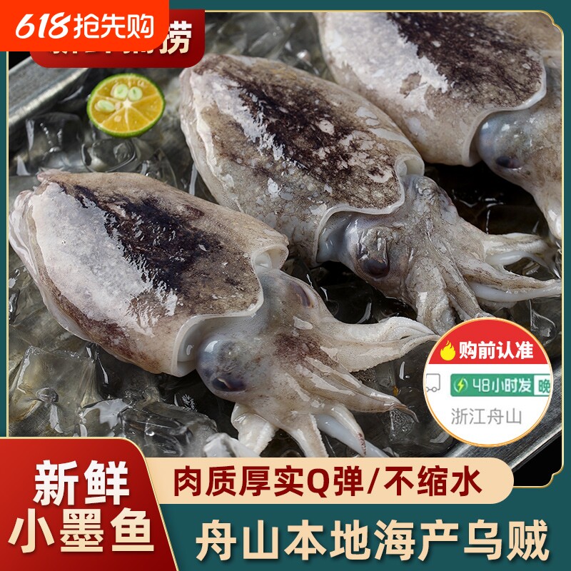 真正舟山小墨鱼新鲜墨鱼仔超大号冷冻生海鲜鲜活水产大乌贼目鱼