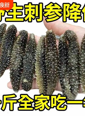 野生海参干货干散装批发正宗黑刺参特价海参一斤水产葱烧泡发