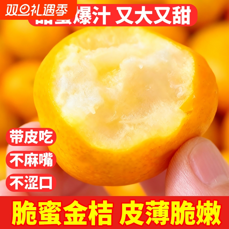 正宗广西融安脆蜜金桔第三代鲜果大果新鲜金柑应季水果果园甜蜜