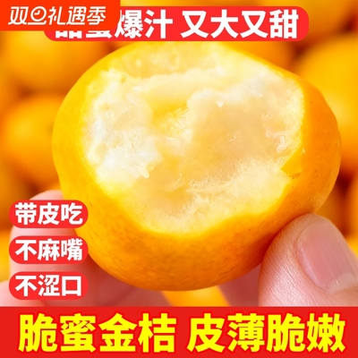 正宗广西融安脆蜜金桔第三代鲜果大果新鲜金柑应季水果果园甜蜜