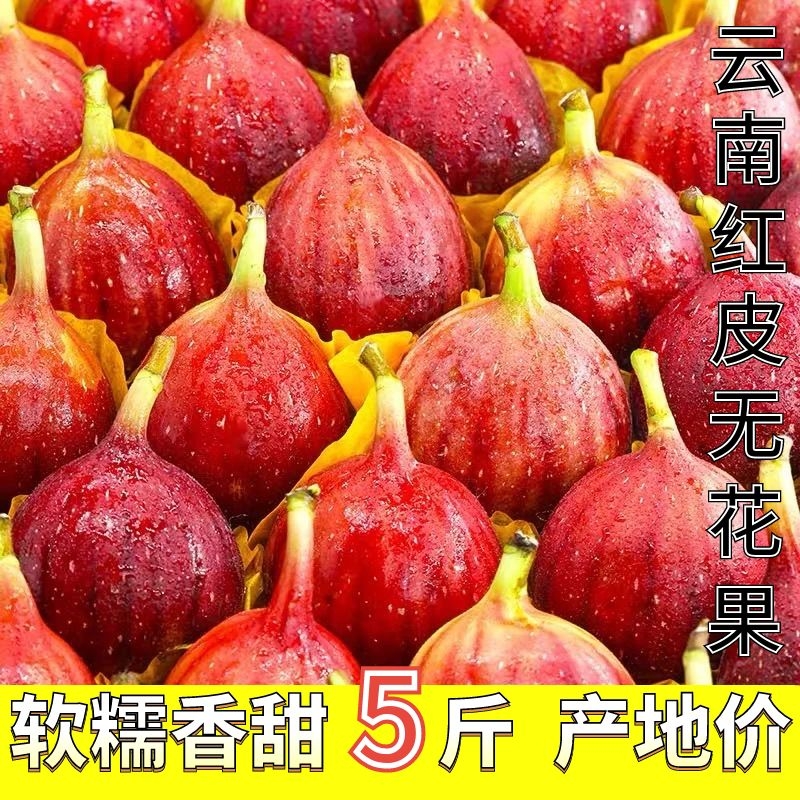 无花果鲜果5斤新鲜水果红皮大果孕妇当季现摘糖包子整箱包邮软糯