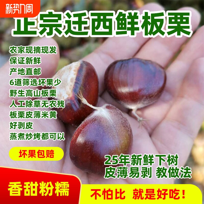 25年新货迁西板栗3113炒货批发糖炒商用油栗生板栗子新鲜313