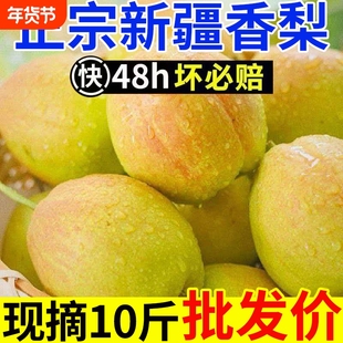 天山雪水正宗新疆香梨新鲜水果梨子红香酥库尔勒杂交年货节现摘