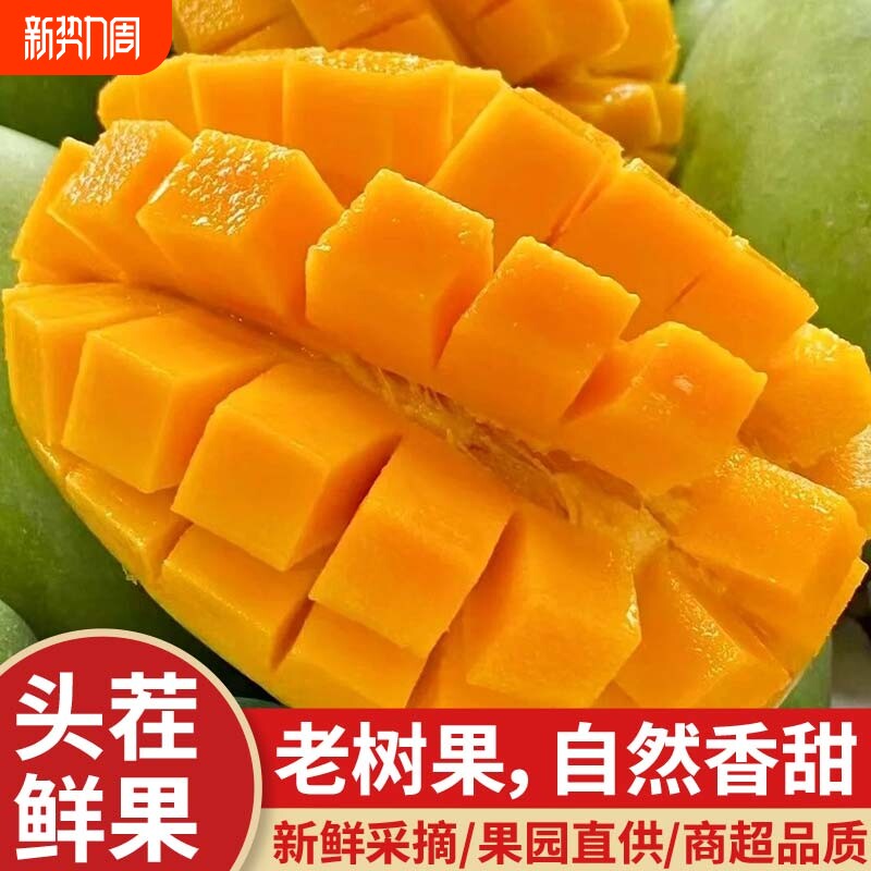 金煌芒果新鲜热带水果应当季水仙甜心芒自然香甜饱满多汁