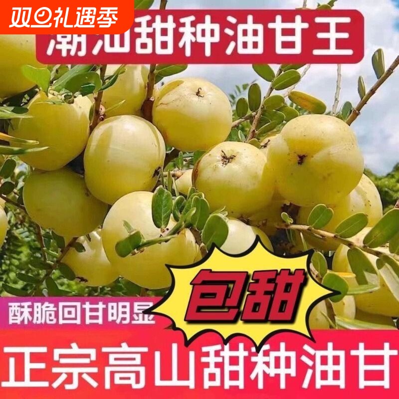 潮汕新鲜甜油甘果牛甘果油柑余甘果孕妇水果饼甜现摘现发