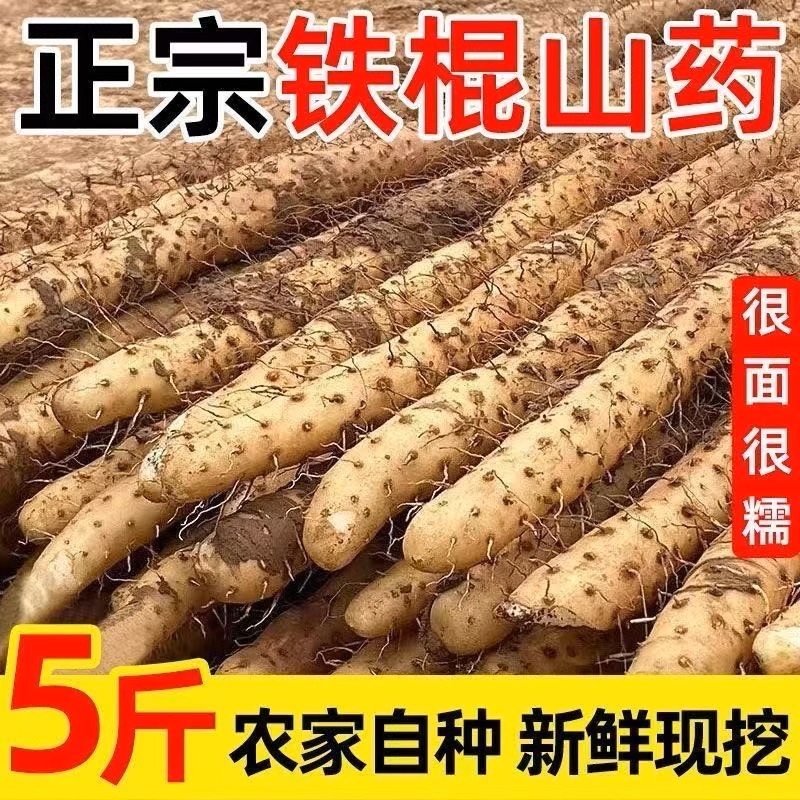 河北铁棍山药小白嘴山药新鲜山药淮山药产地直发新鲜粉糯5斤包邮