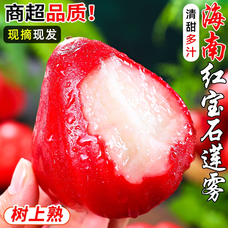 新鲜红宝石5斤现摘特产时令莲雾