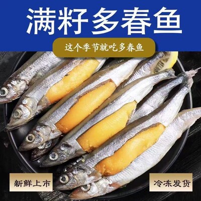 生鲜多春鱼满籽新鲜多籽鱼冷冻鱼籽海鲜海鱼烧烤商用食材批发水产
