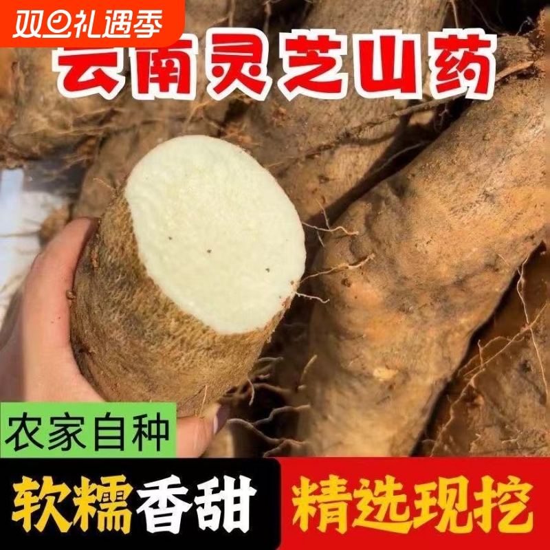 云南灵芝山药新鲜当季便宜产地发蔬菜软滑粉糯糯米自种软糯