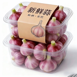 鲜蒜云南新鲜紫皮大蒜多瓣现挖糖醋腌蒜现货批发 当季 农家自种