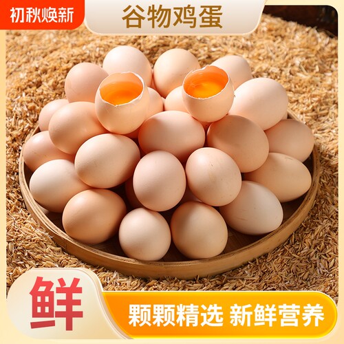 谷物饲养鲜鸡蛋现捡粉壳蛋农场初生蛋笨鸡蛋新鲜喂养