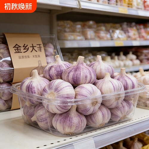 超低价特大干蒜500g批发包