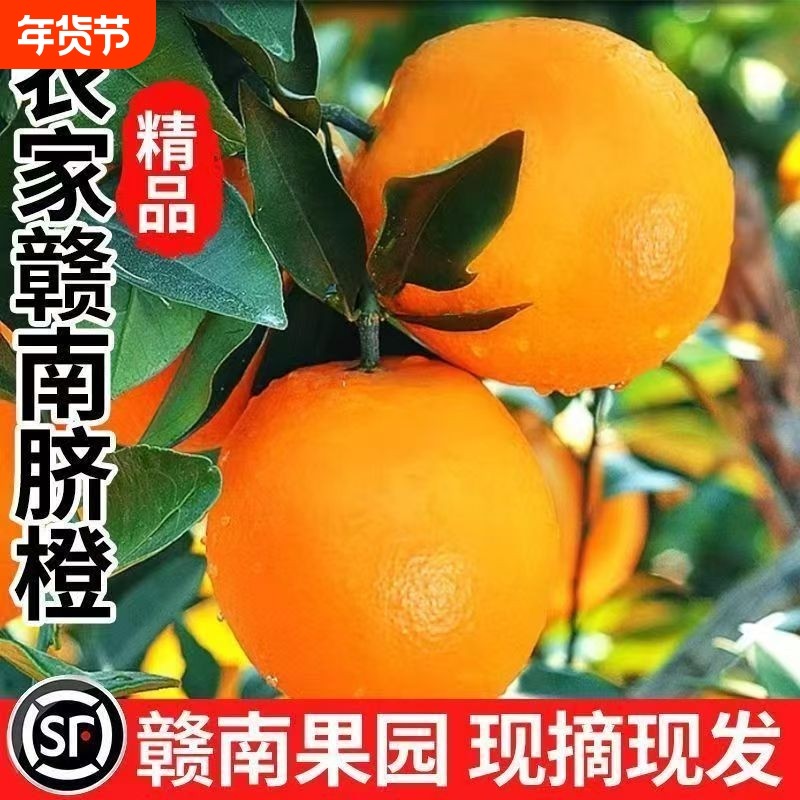 【顺丰包邮】正宗赣南脐橙新鲜应季现摘手剥橙子爆甜水果整箱