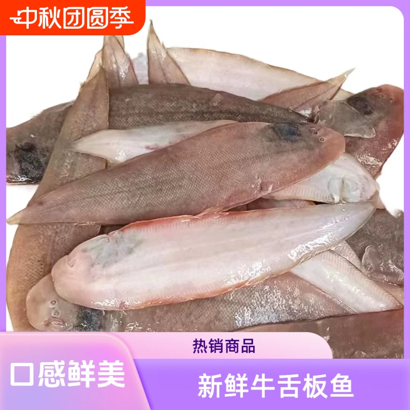 海捕龙利鱼小舌头鱼新鲜踏板鱼带皮冷冻海鱼海鲜生鲜商用批鱼片