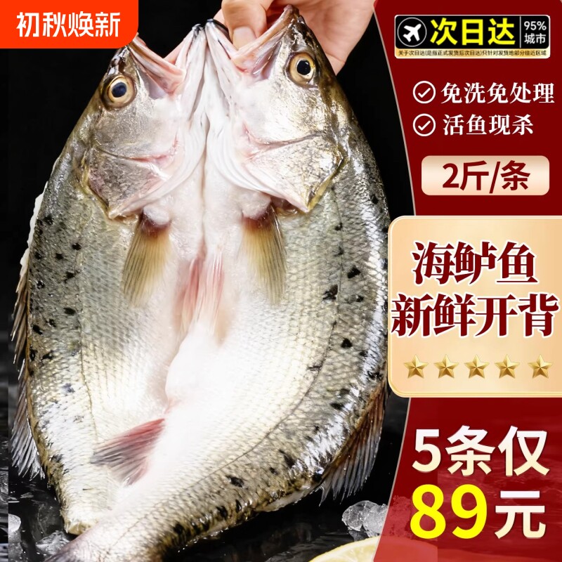 海鲈鱼开背海鱼新鲜冷冻鲜活深海白蕉七星特大烤鱼半成品商用清蒸