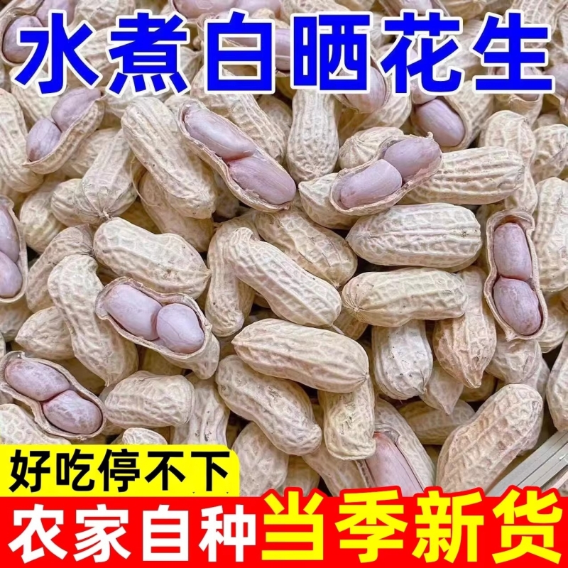 水煮白晒花生福建龙岩花生蒜香多味五香花生米带壳坚果炒货干货壳