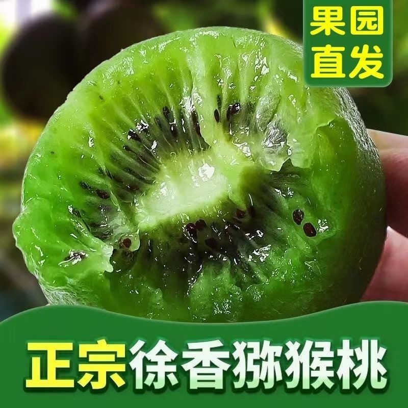 正宗陕西徐香猕猴桃绿心奇异果新鲜孕妇水果当季现摘弥猴桃