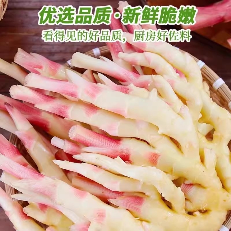 新鲜现挖红芽嫩姜辛辣多汁姜味浓