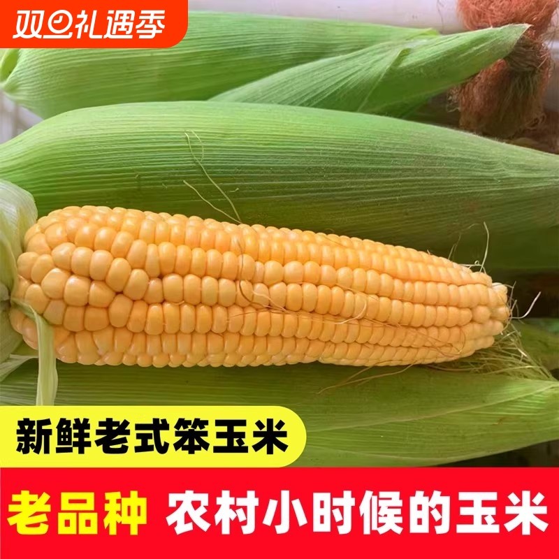 新鲜老式笨玉米老玉米苞米棒子非甜非糯现摘带皮生农家自种3斤5斤