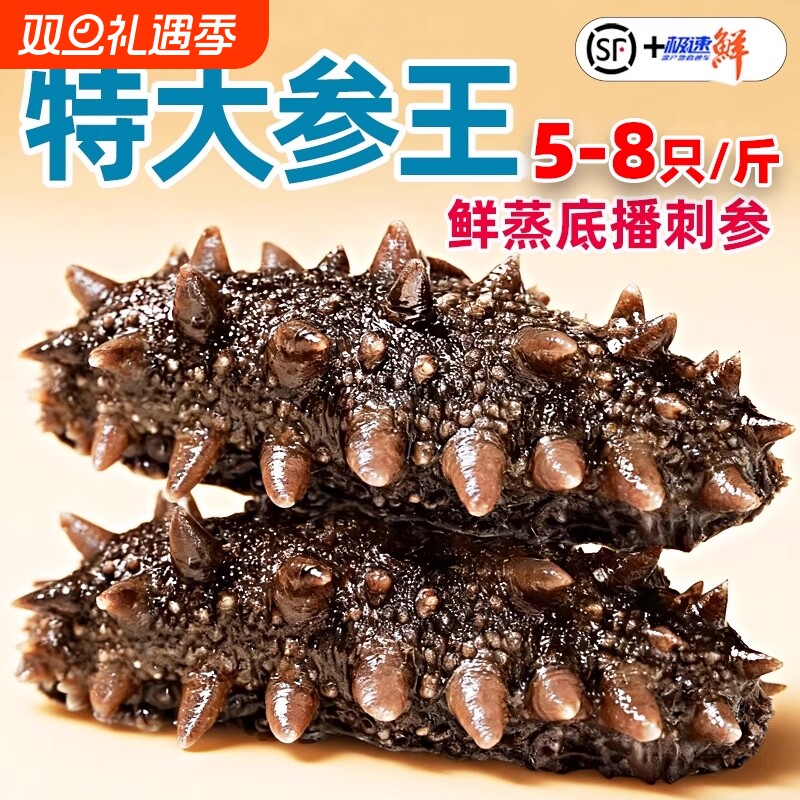 海参即食大连野生海生辽参刺参鲜活特价装非干货水产冷冻滋补
