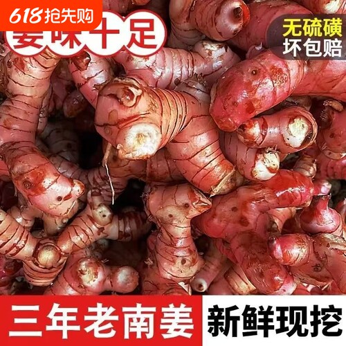 正宗广东红皮老南姜新鲜现挖生姜应季提味调料野山姜潮汕特产批发
