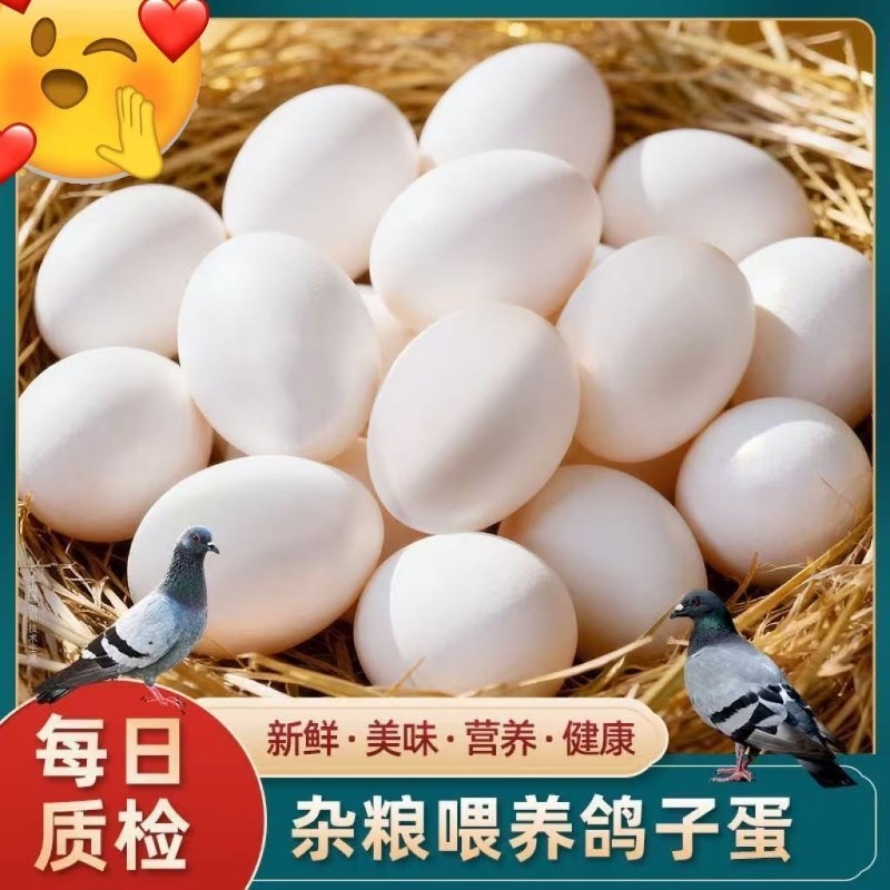 新鲜鸽子蛋当日现产农家散养放养白鸽蛋30个装枚营养健康生鲜包邮
