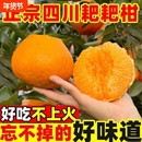 正宗眉山春见耙耙柑*4.5斤