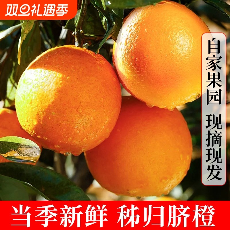 秭归脐橙整箱包邮5斤9斤新鲜时令水果整箱冰糖果冻纽荷尔甜橙子