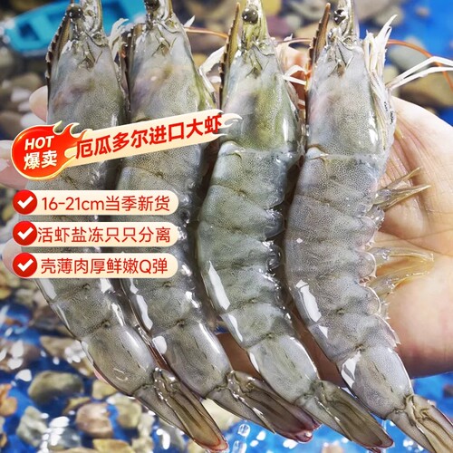厄瓜多尔大虾南美白对虾活鲜冷冻大虾3040特大号新鲜大虾