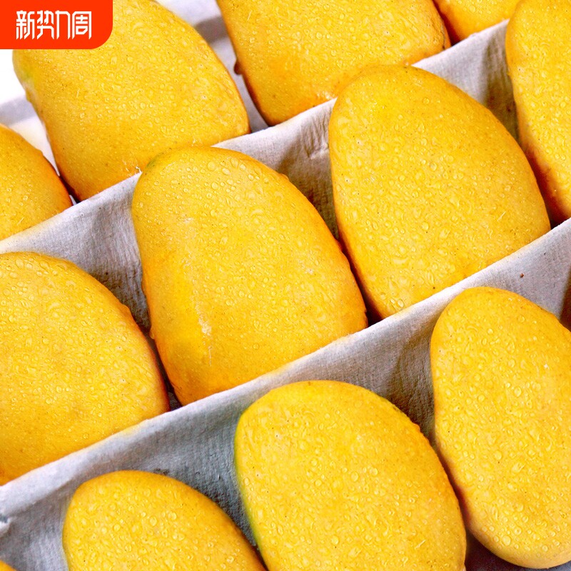 海南芒果新鲜现摘小台芒应当季热带水果特产芒果