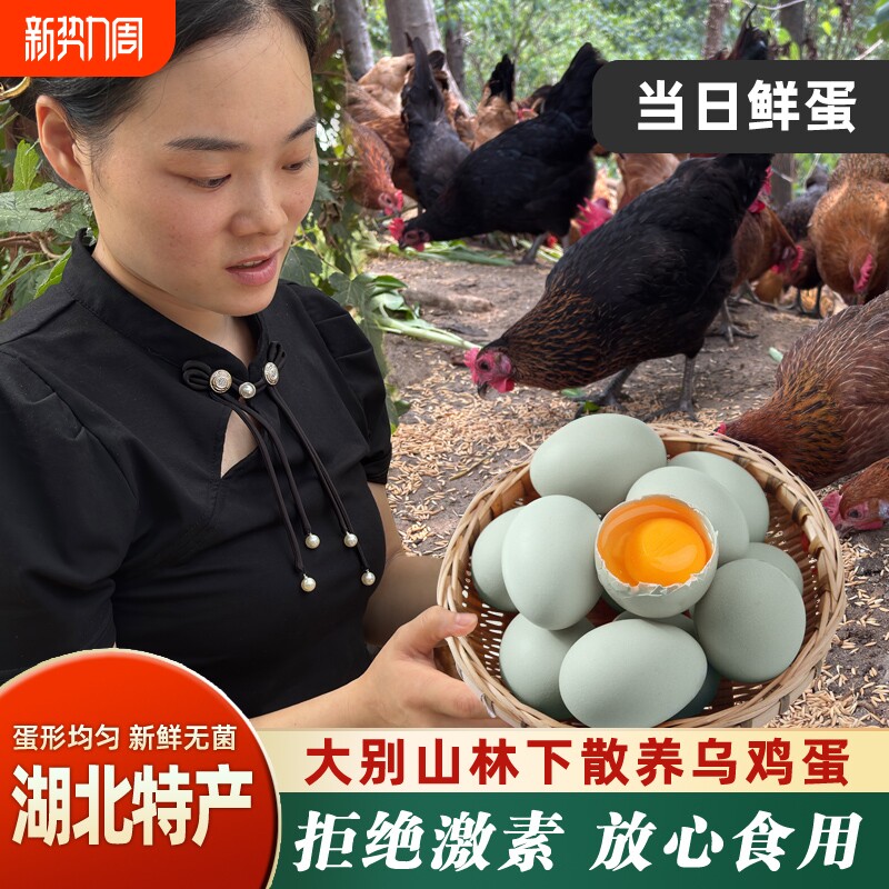 绿壳乌鸡蛋散养土鸡蛋20枚大别山绿色儿童营养早餐谷物蛋新鲜农场