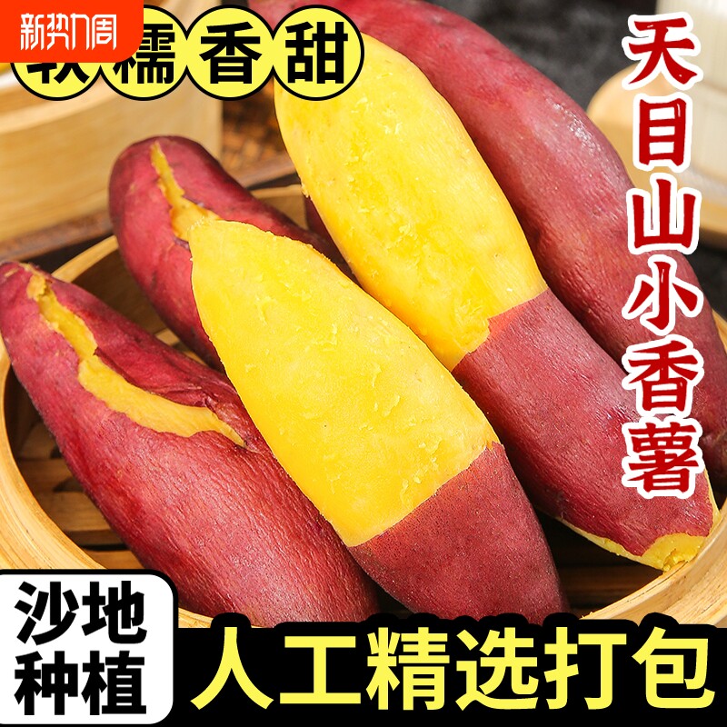 天目山小香薯正宗临安蜜薯黄心沙地红薯农家小番薯板栗薯新鲜甜蜜