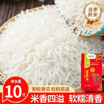 正宗上林香米象牙米10斤装新米