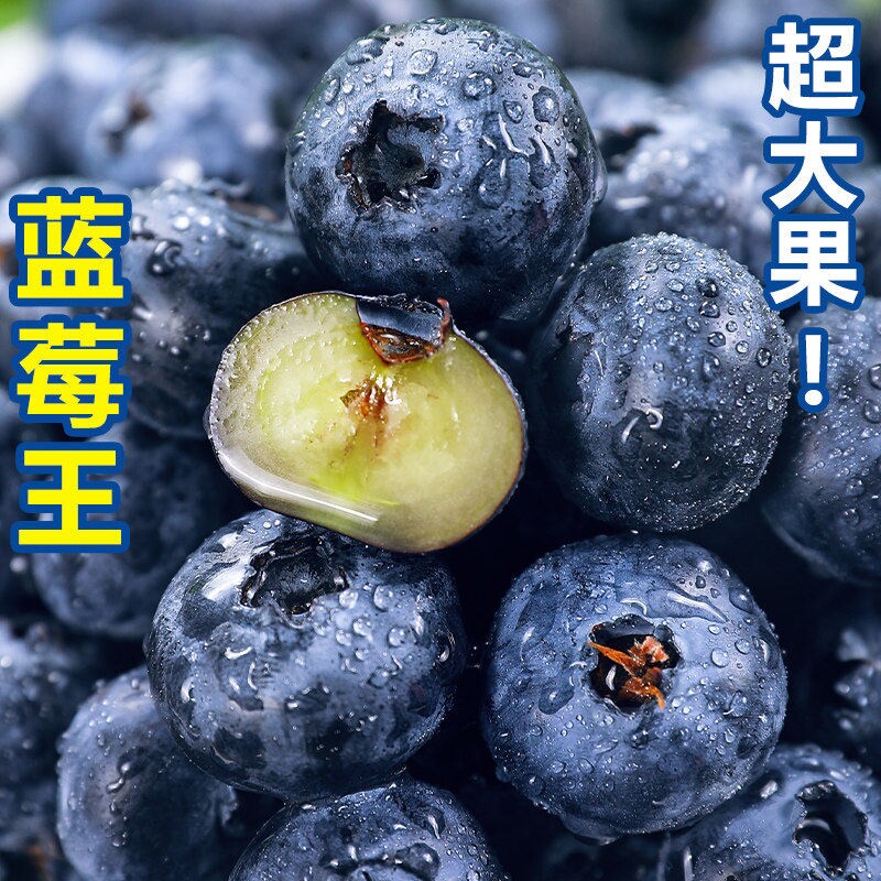 云南高山L25花香蓝莓鲜果当季新鲜水果现摘怡颗大果整箱包邮纯甜