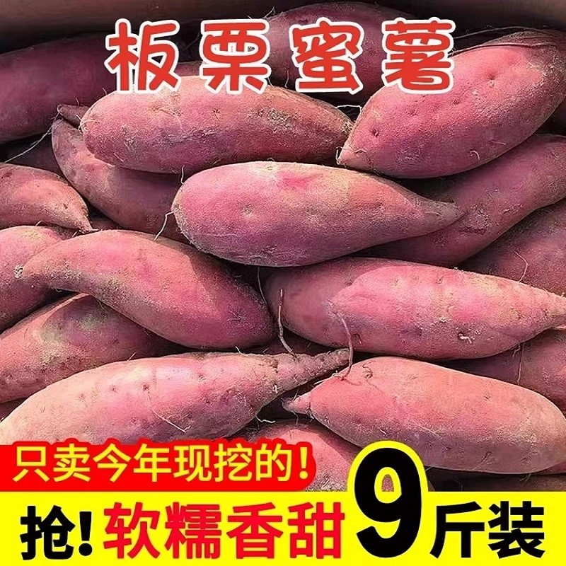 现挖龙九蜜薯番薯地瓜红薯新鲜红心板栗自种山芋西瓜香甜年货节