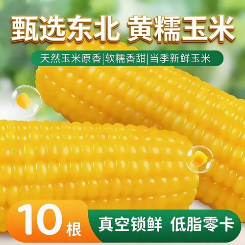 正宗东北新鲜黄糯玉米香甜拉丝独立包装糯玉米真空香糯烧烤当季
