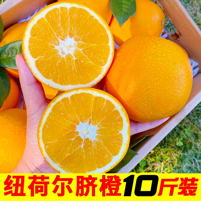 水果橙子正宗湖南纽荷尔脐橙10斤包邮当季新鲜整箱手剥橙果园直供