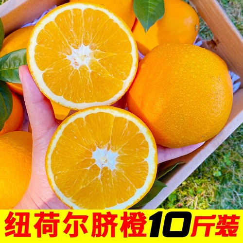 水果橙子正宗湖南纽荷尔脐橙10斤包邮当季新鲜整箱手剥橙果园直供